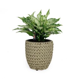 10.6" Self-watering Wicker Planter - Garden Decoration Pot - Beige - Round