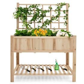 Raised Garden Bed Elevated Wooden Planter Box with Trellis